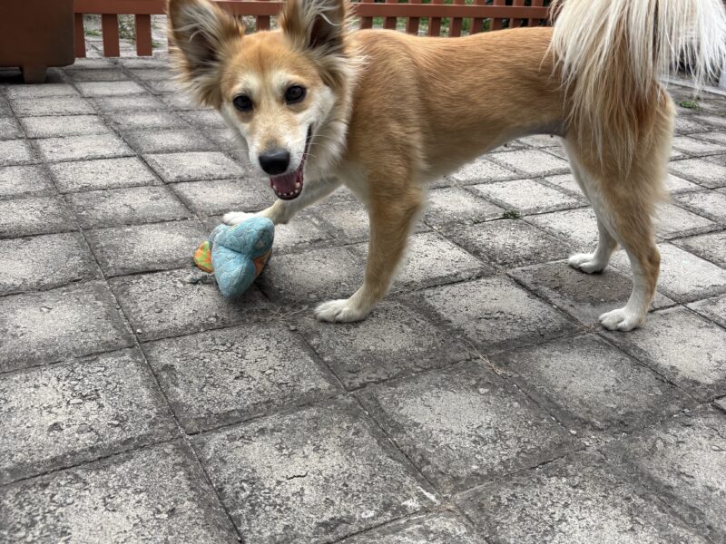 MARLEY