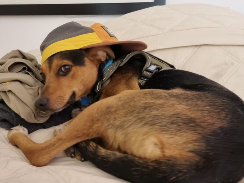 TAQUITO