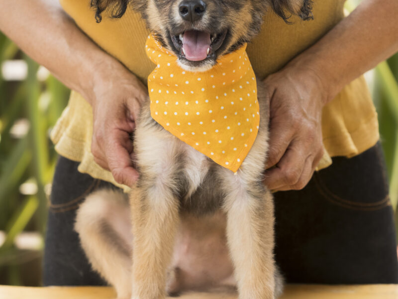 TAQUITO