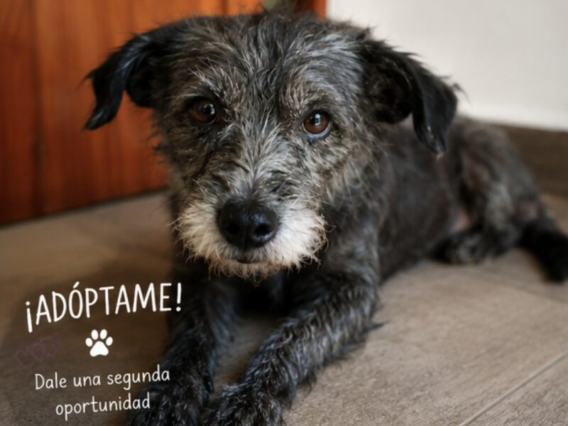 RUFINA