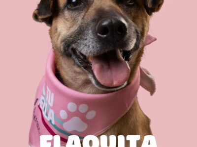 FLAQUITA