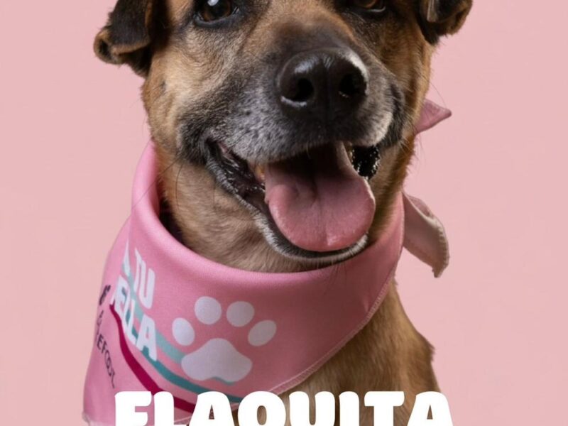 FLAQUITA