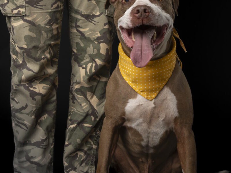 TYSON