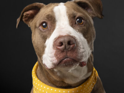 TYSON
