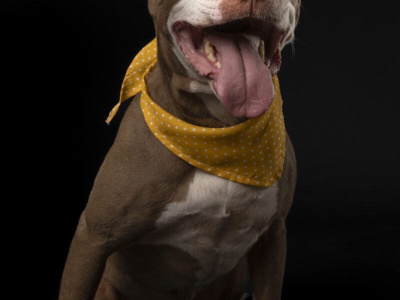 TYSON
