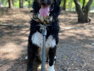 OREO