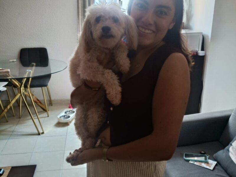 RUFIS