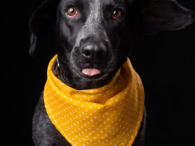 FIONA