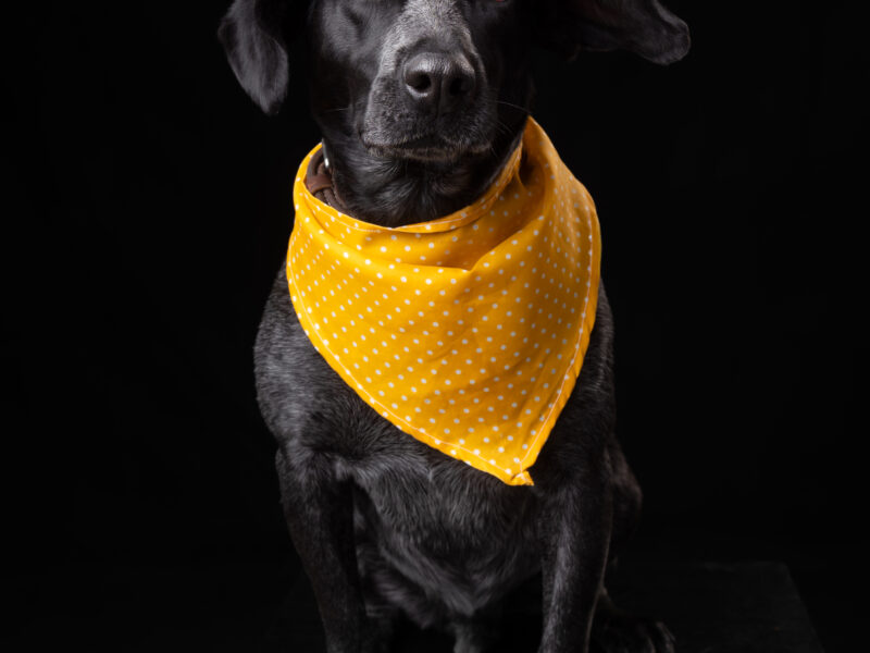 FIONA