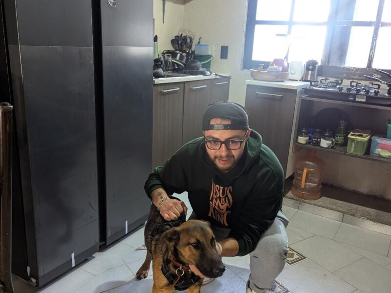 ZEUS