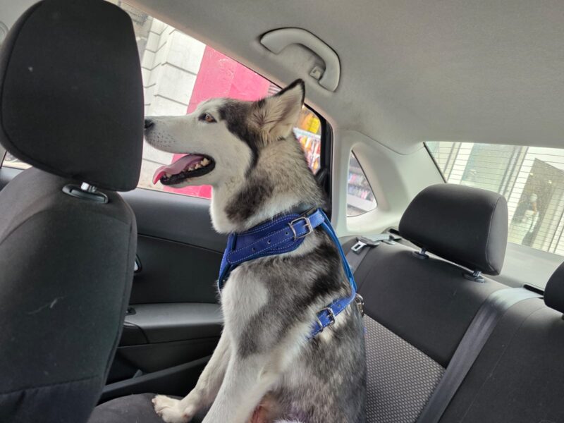 KIRA