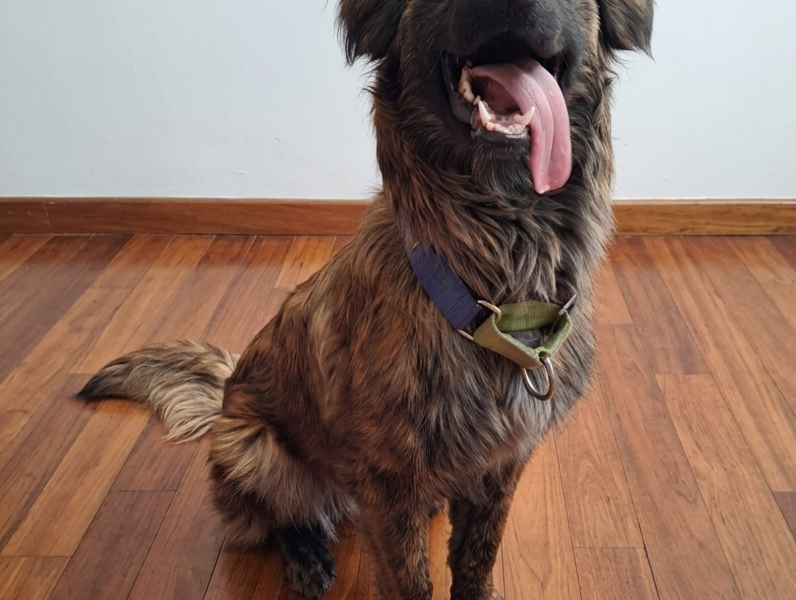 OLIVER