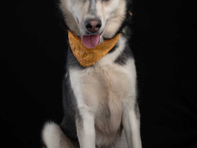 REX