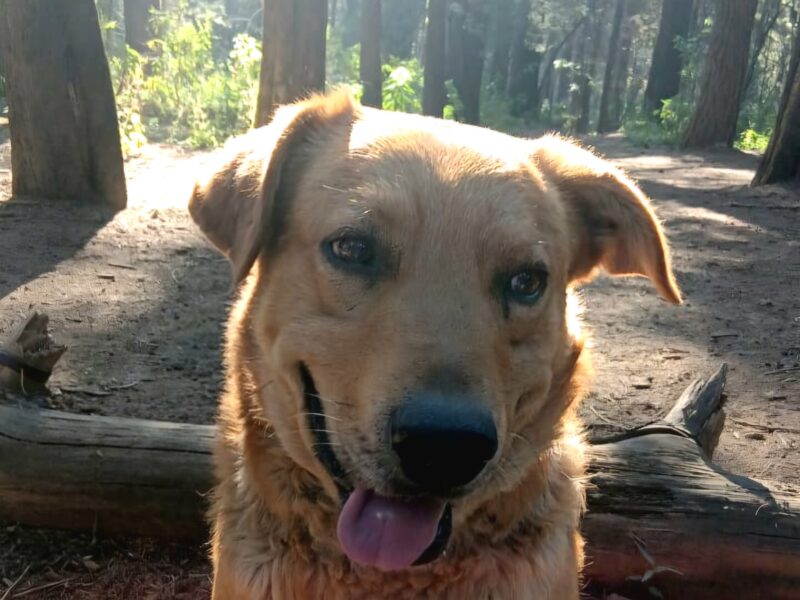 OSO
