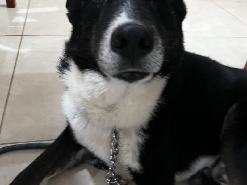 OSO
