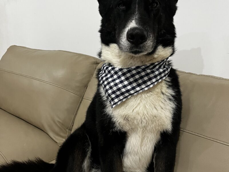 OSO