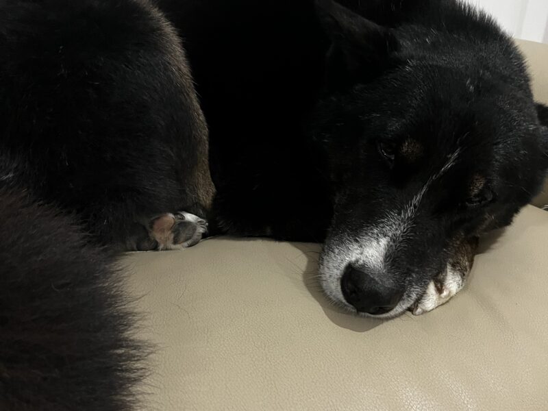 OSO