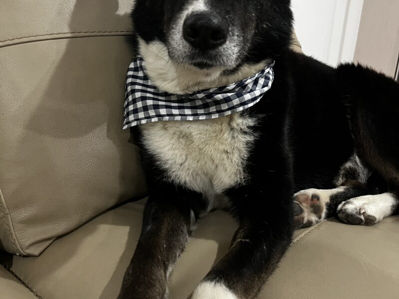 OSO
