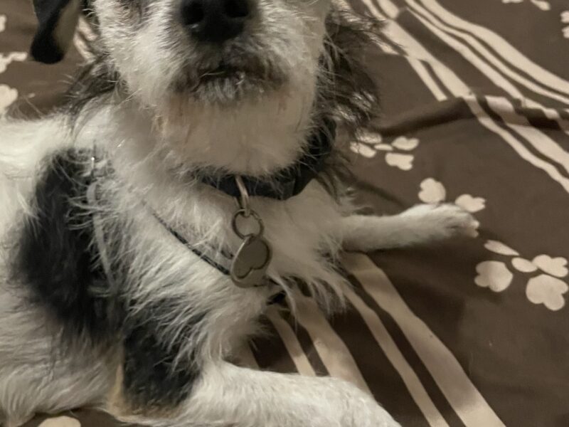 GARY