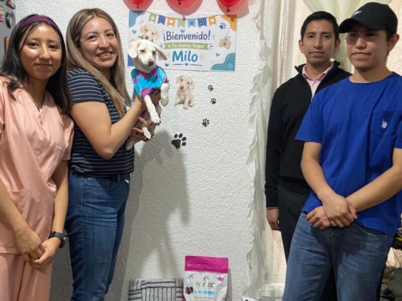 MILO