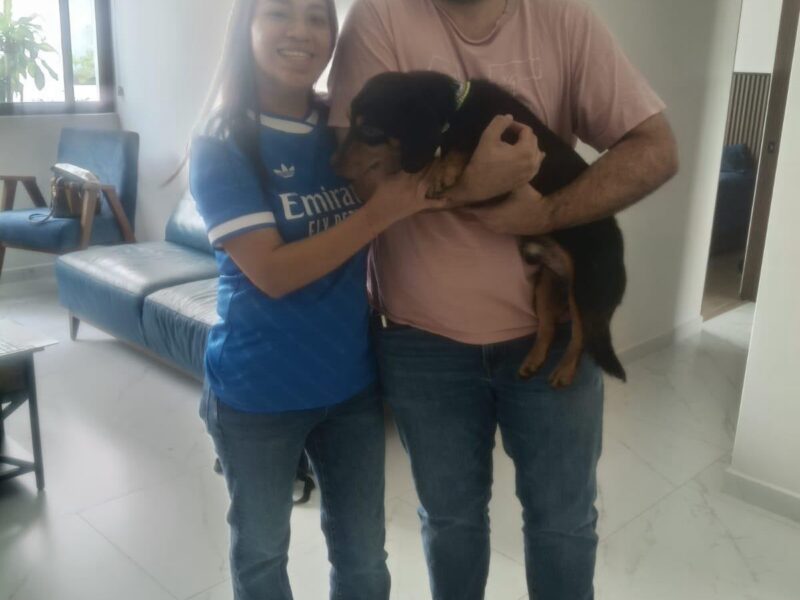 PATITAS