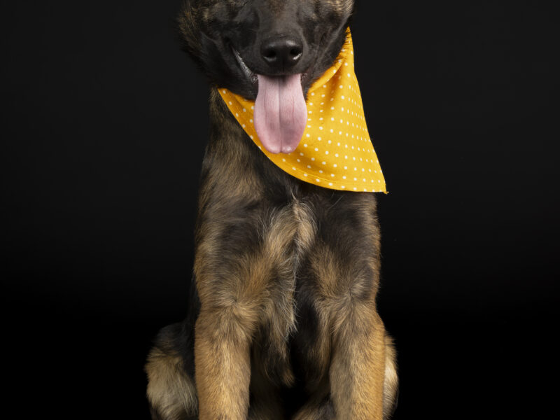 LEILA