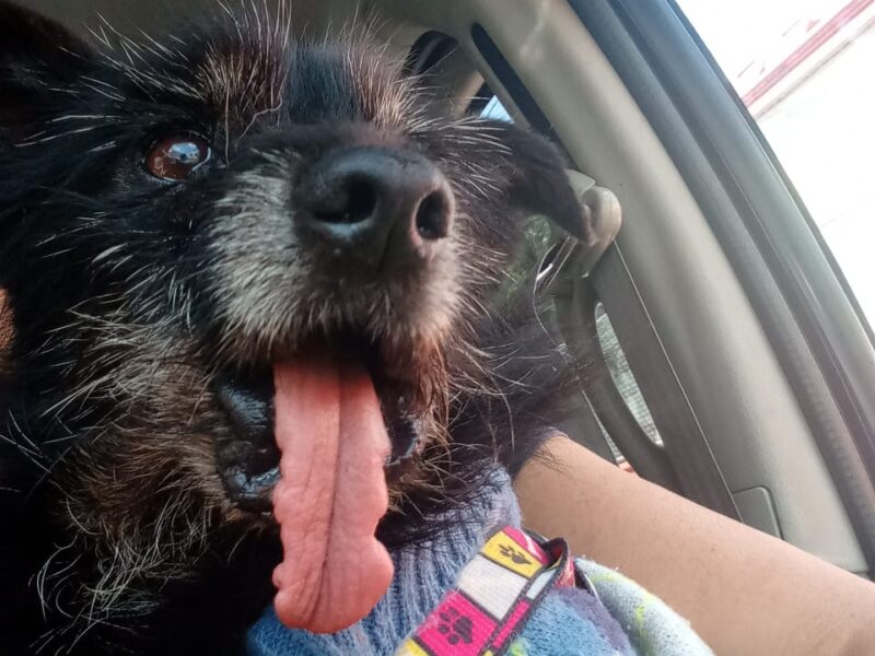 BLACKY