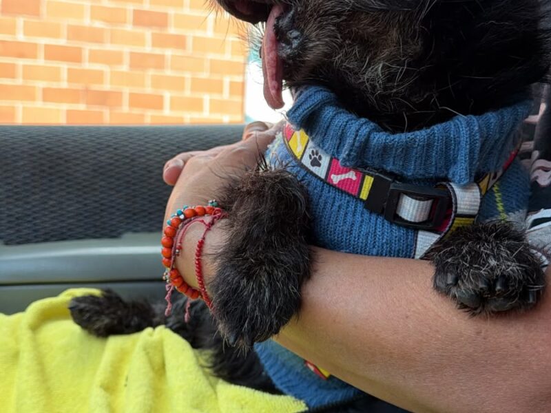 BLACKY