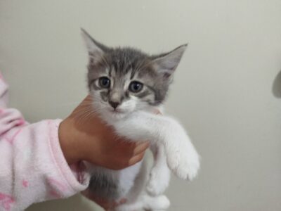 BENNY