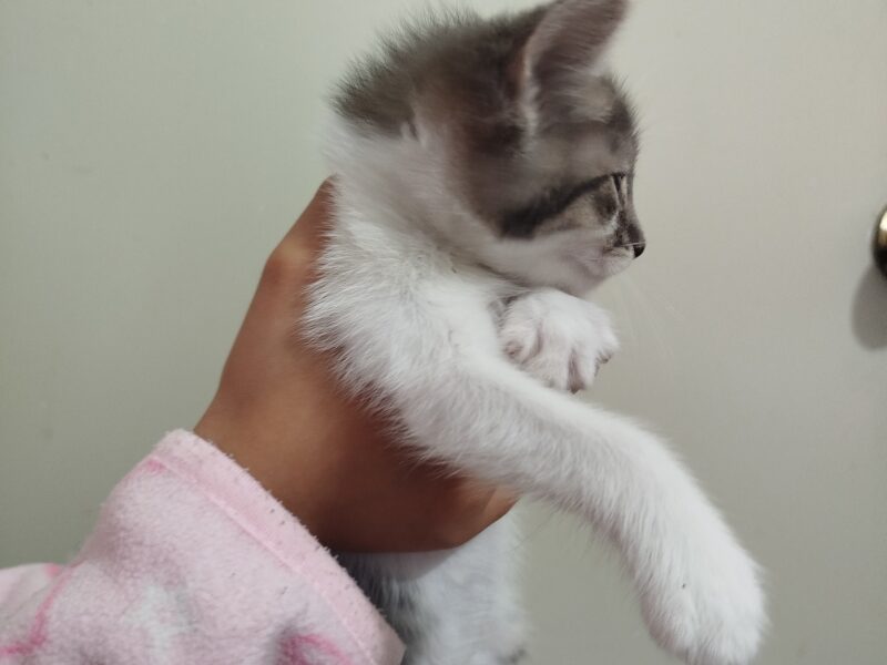 BENNY