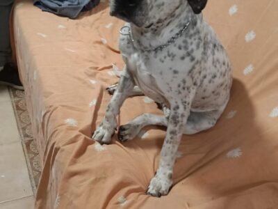 MILLY