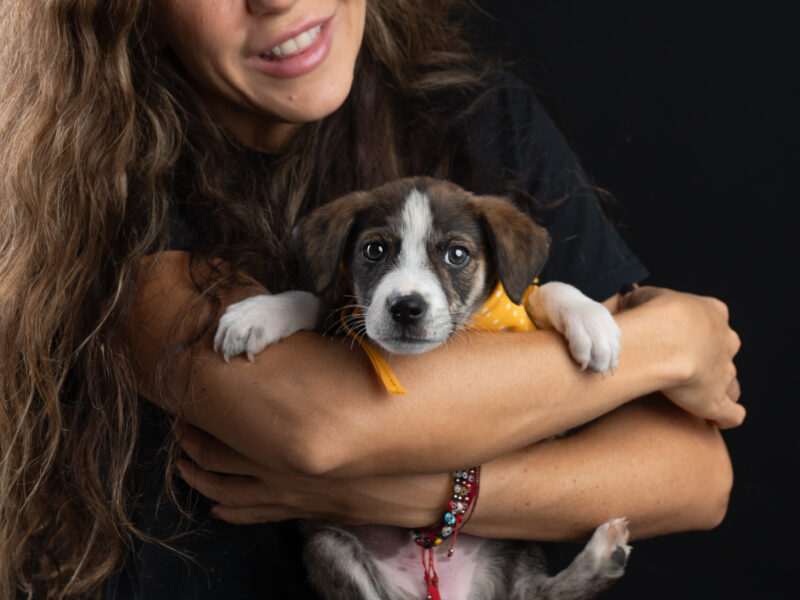 SANDÍA