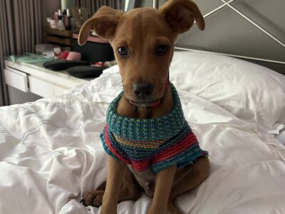 PONCHO