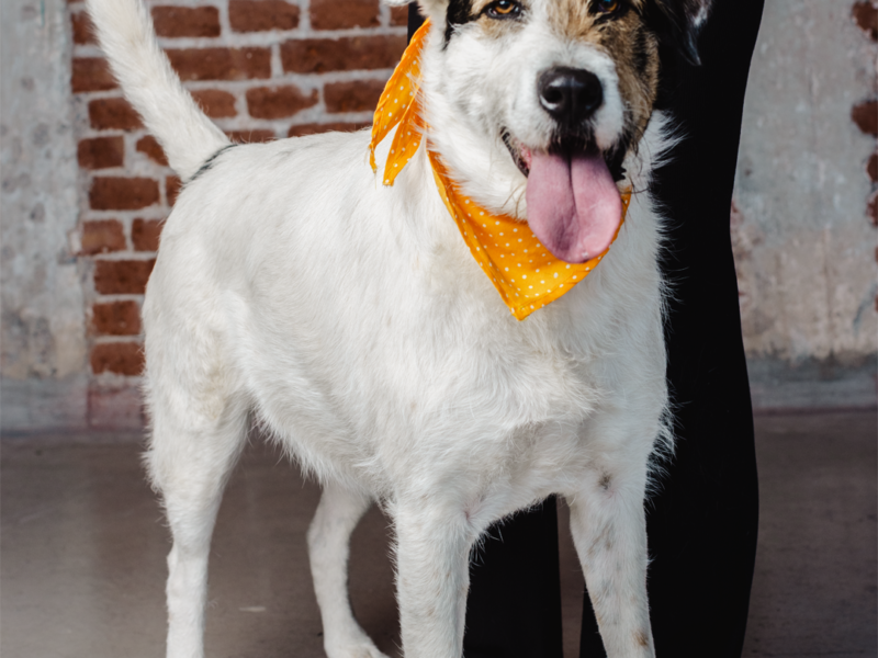 PALOMA
