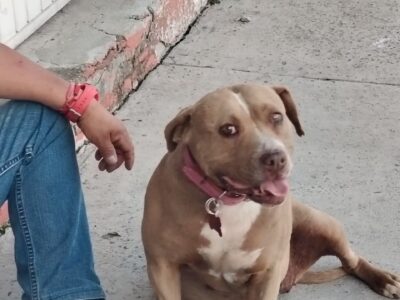 CANELA
