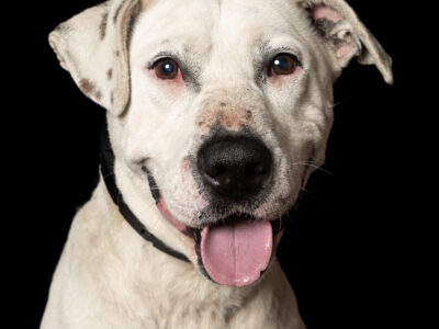 ROCKO