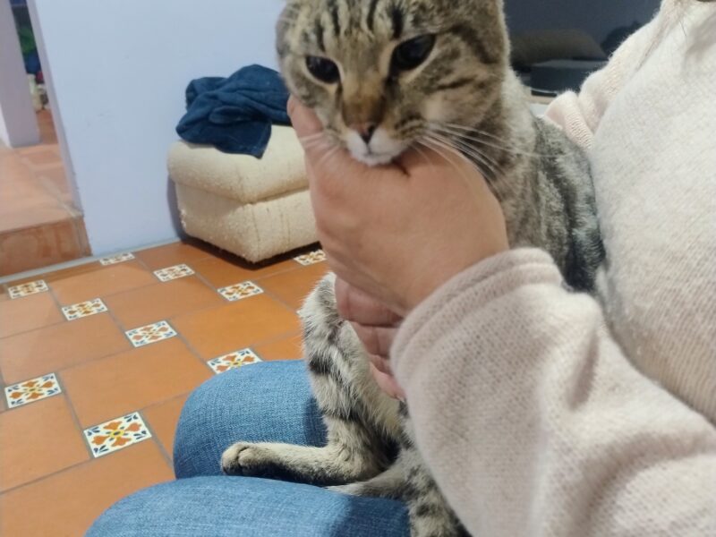 TAI