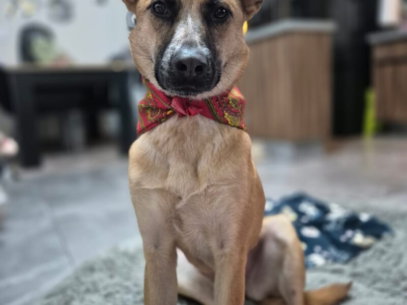 Samantha