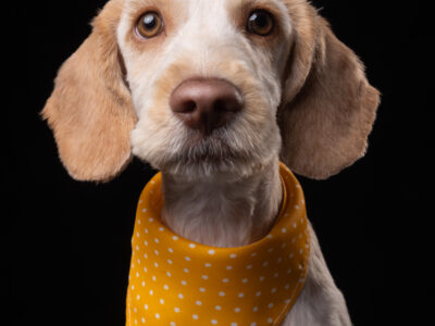 OLIVER