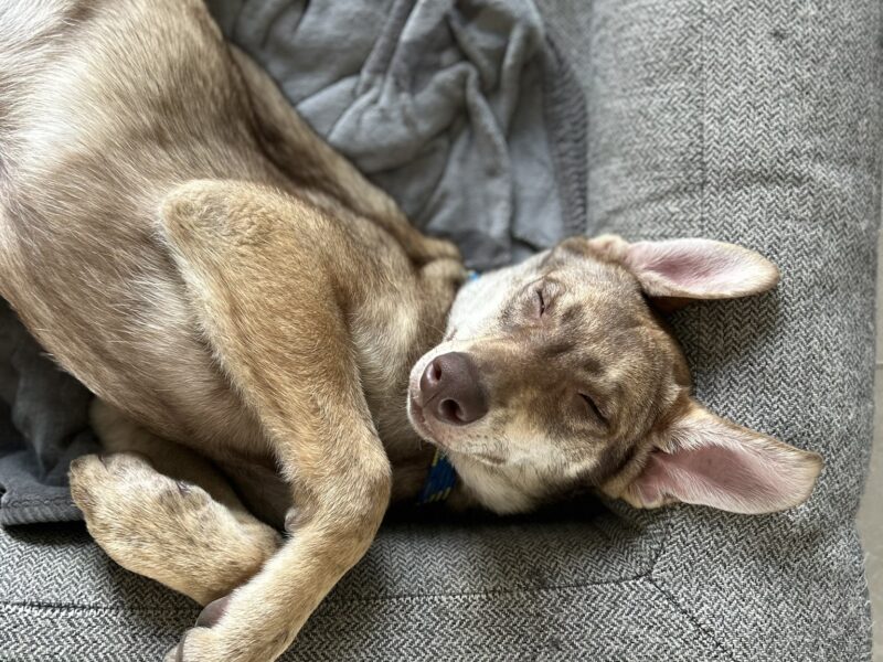 COSMO