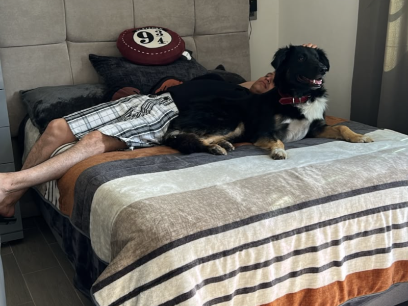 PELUDO