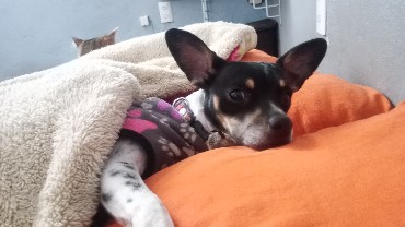LULY