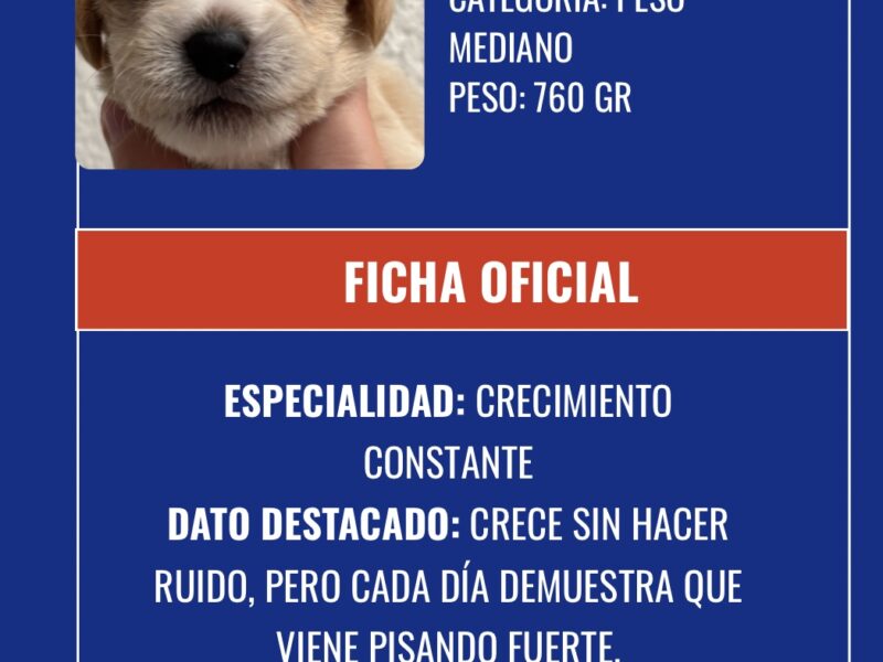 CONRADO