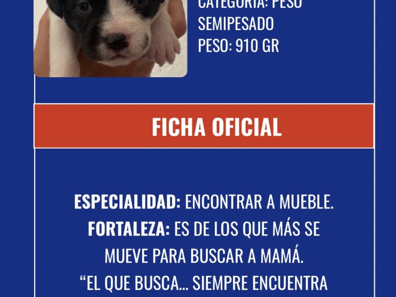 JACOBO