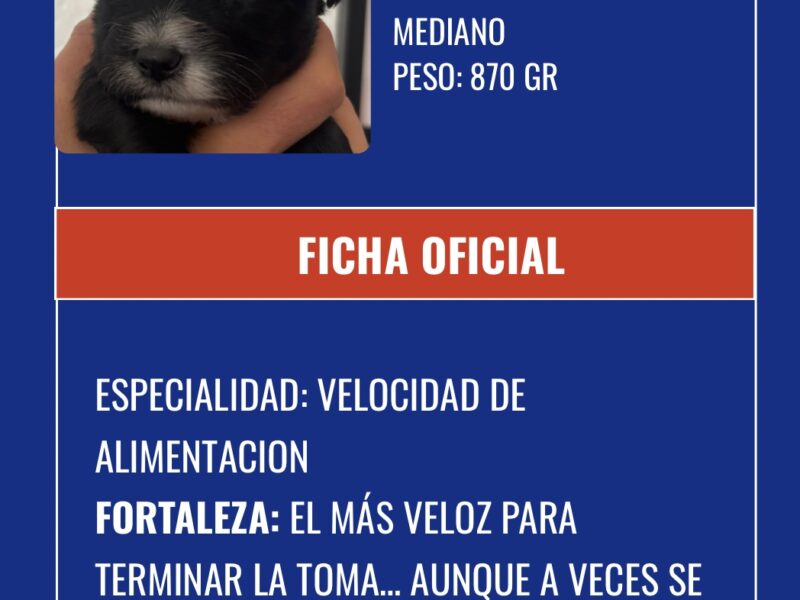 PASCUAL