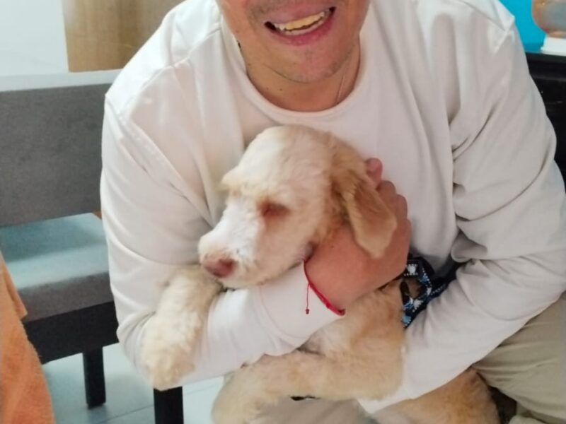TEDDY