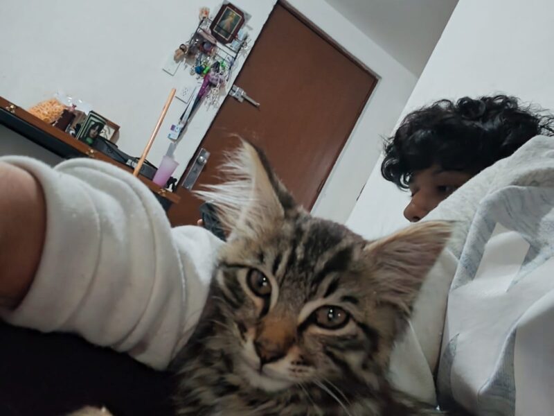 TIGRESA