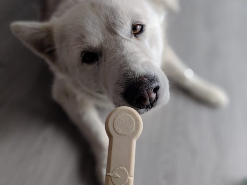 AIKA