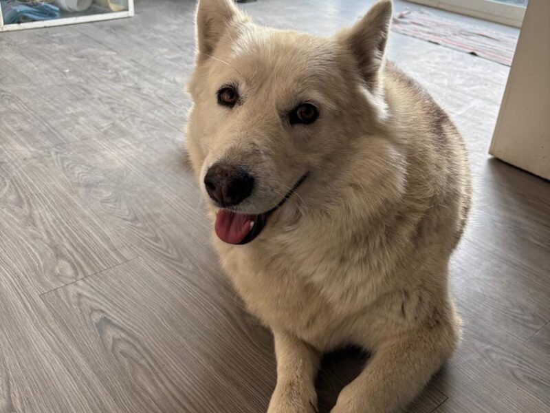 AIKA