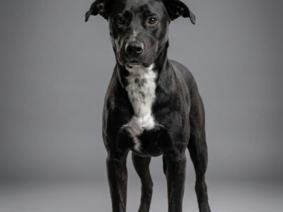 BLACKY